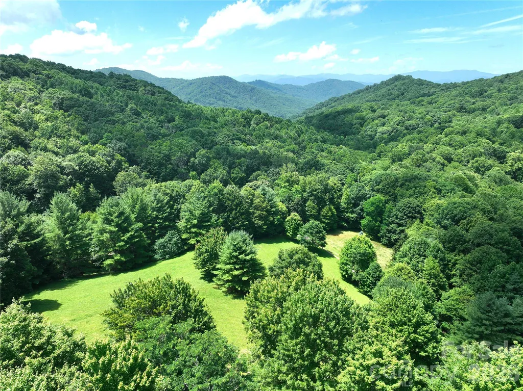 299 Basswood Road Hot Springs NC 28743