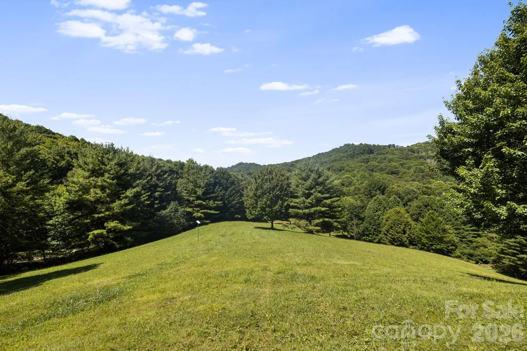 299 Basswood Road Hot Springs NC 28743