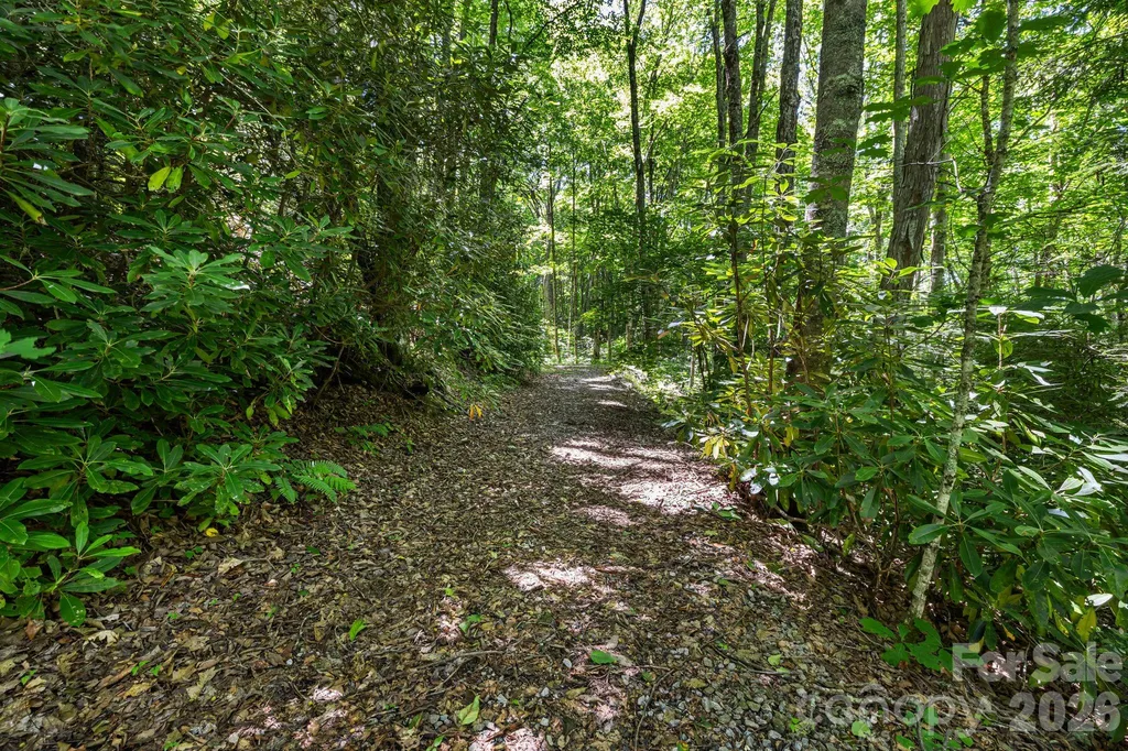 299 Basswood Road Hot Springs NC 28743