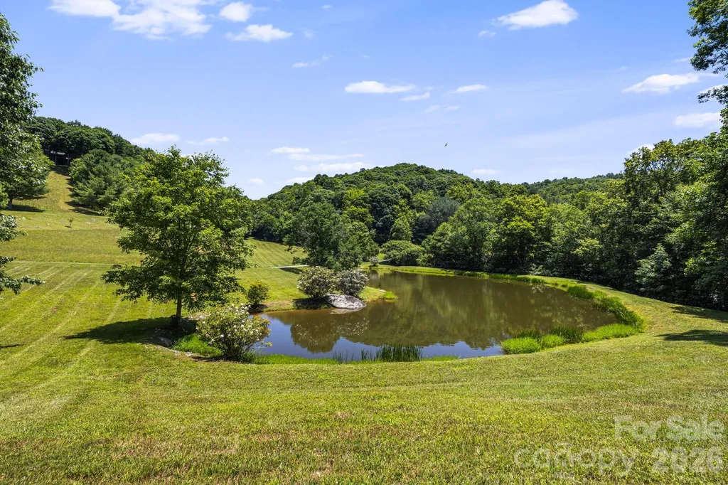 299 Basswood Road Hot Springs NC 28743