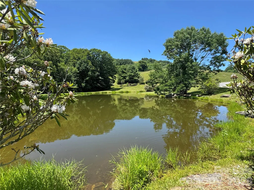 299 Basswood Road Hot Springs NC 28743
