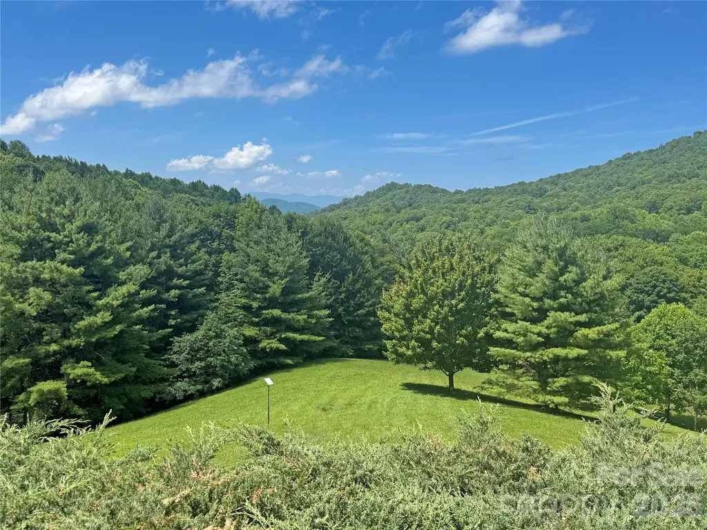 299 Basswood Road Hot Springs NC 28743