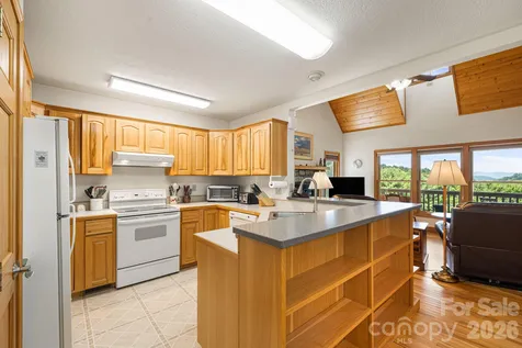 299 Basswood Road Hot Springs NC 28743