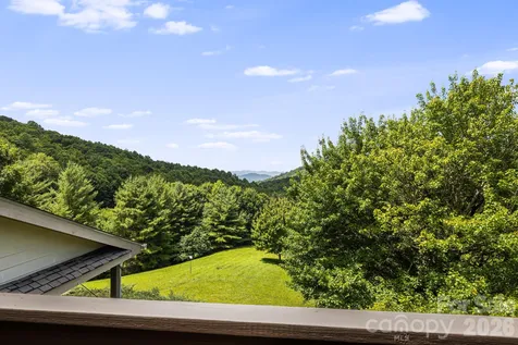 299 Basswood Road Hot Springs NC 28743