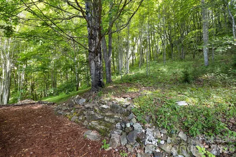 299 Basswood Road Hot Springs NC 28743