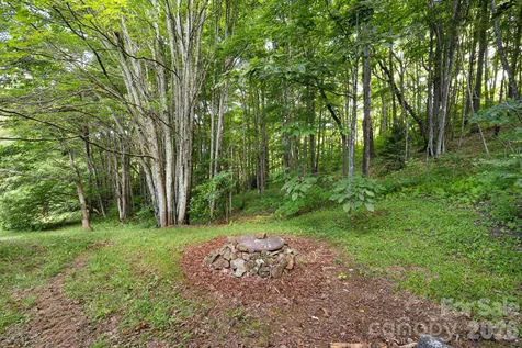 299 Basswood Road Hot Springs NC 28743