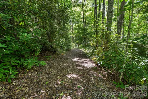 299 Basswood Road Hot Springs NC 28743