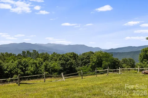 299 Basswood Road Hot Springs NC 28743