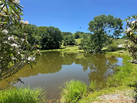 299 Basswood Road Hot Springs NC 28743
