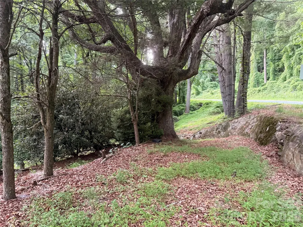1359 Lamb Mountain Road Hendersonville NC 28792