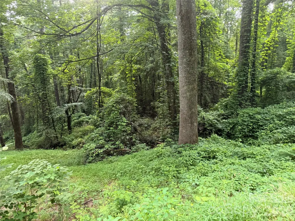 1359 Lamb Mountain Road Hendersonville NC 28792