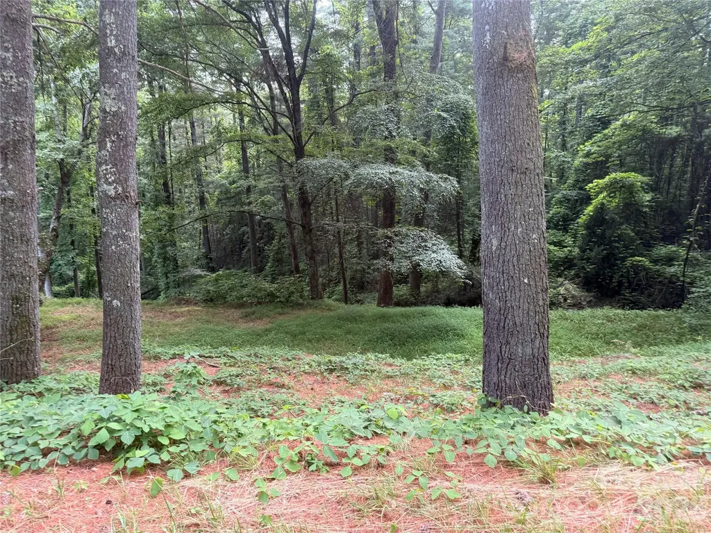 1359 Lamb Mountain Road Hendersonville NC 28792