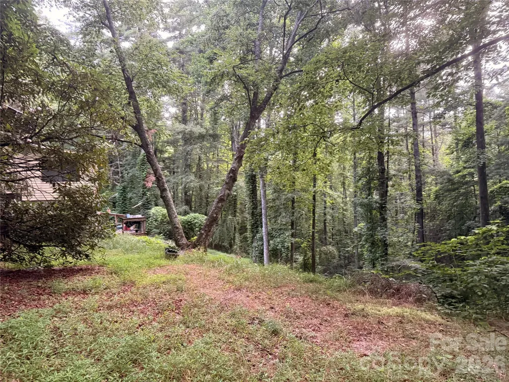 1359 Lamb Mountain Road Hendersonville NC 28792