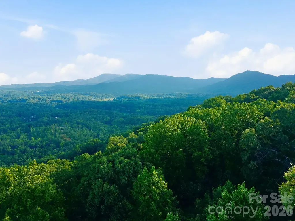 00 Ragans Pointe Columbus NC 28722