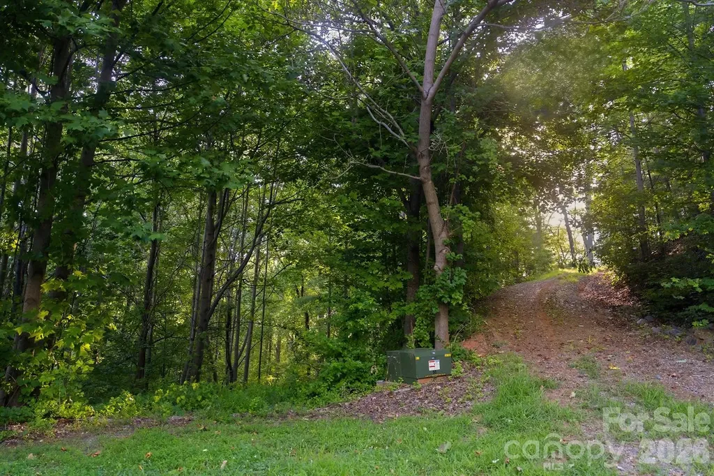 00 Ragans Pointe Columbus NC 28722