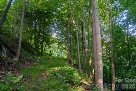 00 Ragans Pointe Columbus NC 28722
