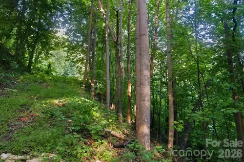 00 Ragans Pointe Columbus NC 28722