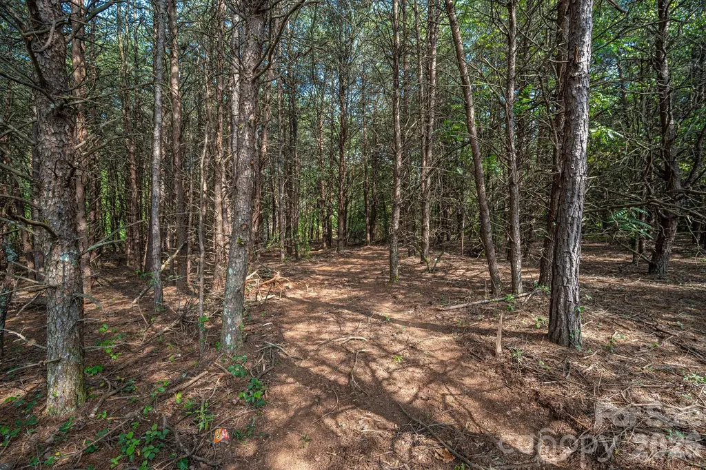 000 Frank Cline Road Vale NC 28168