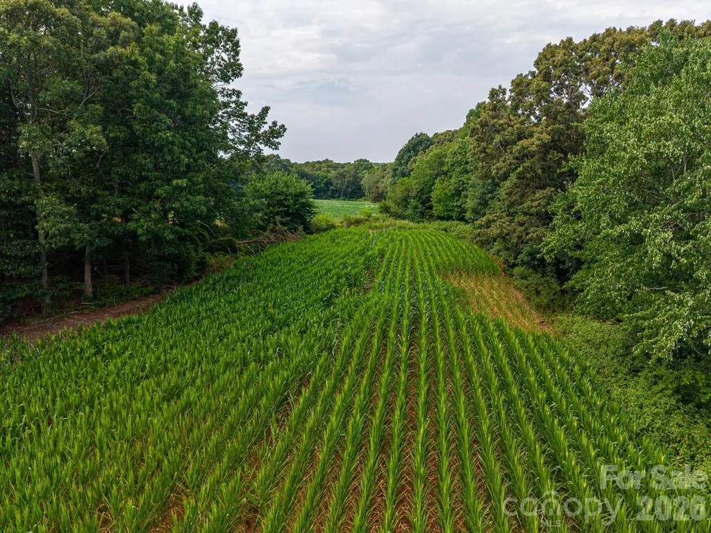 000 Frank Cline Road Vale NC 28168