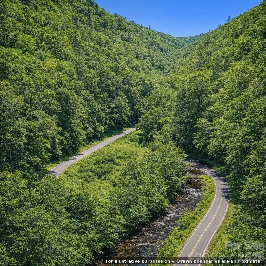 0000 Rainbow Trout Drive Burnsville NC 28714