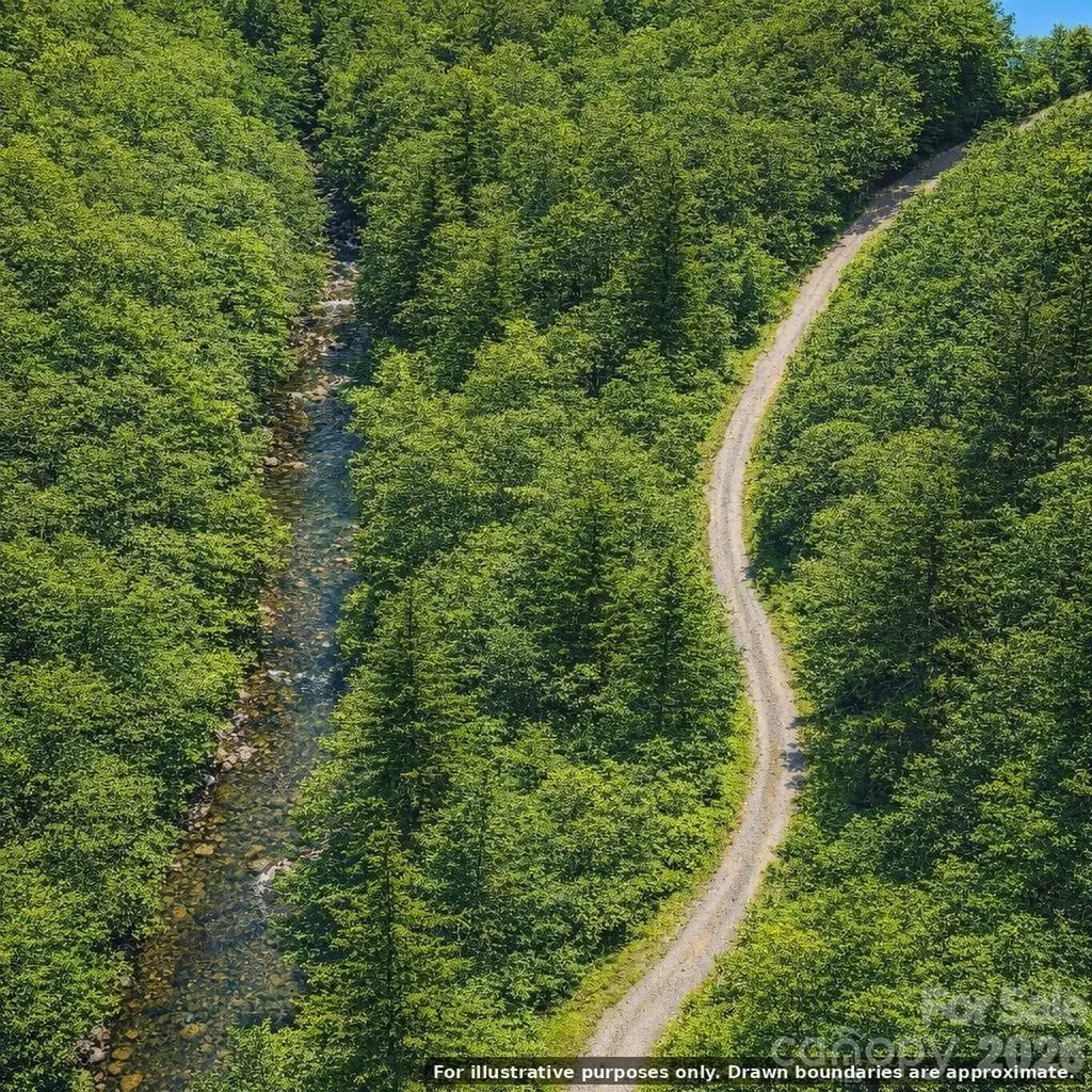 0000 Rainbow Trout Drive Burnsville NC 28714