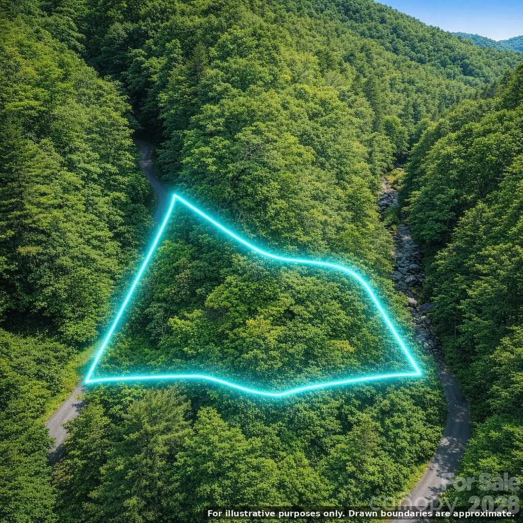 0000 Rainbow Trout Drive Burnsville NC 28714