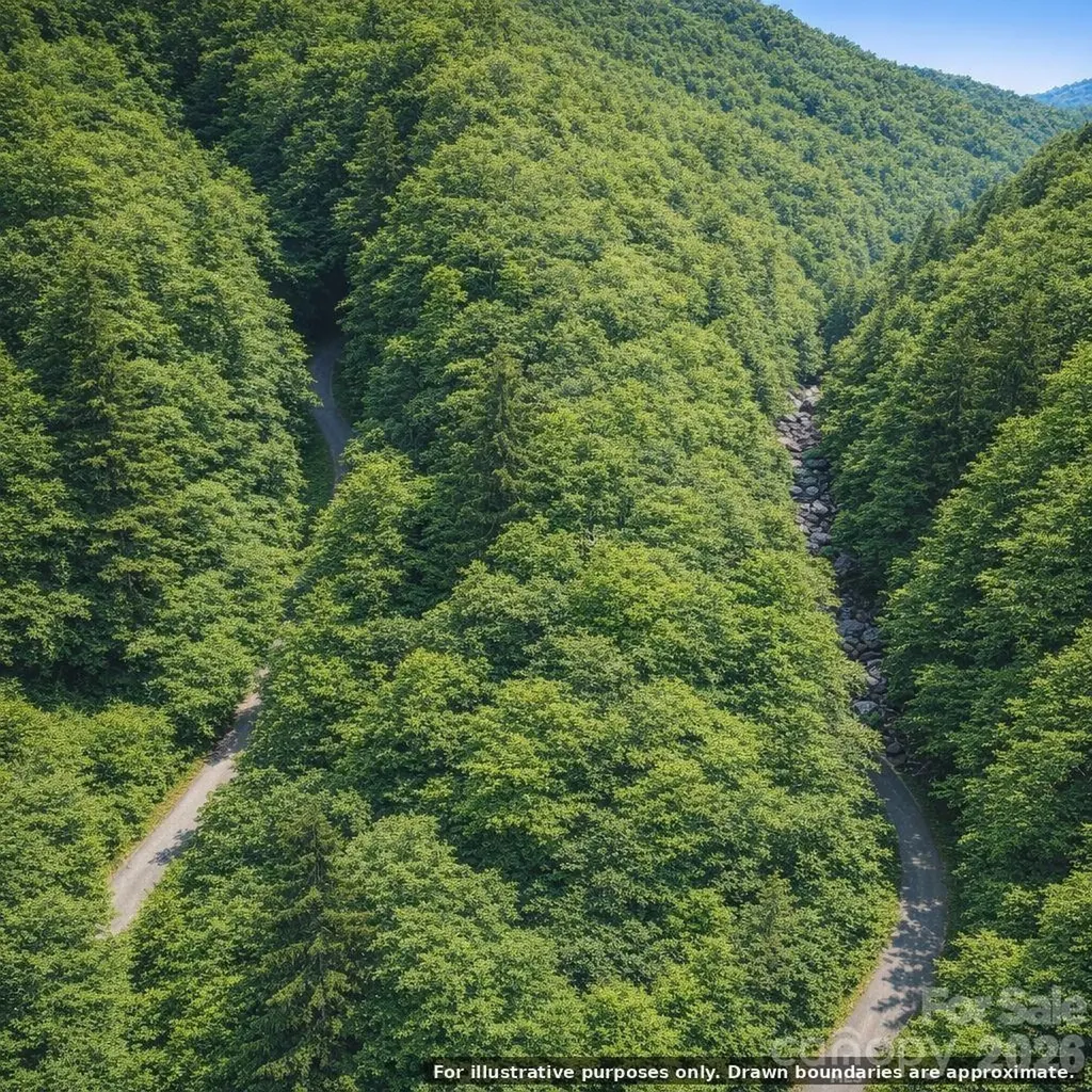 0000 Rainbow Trout Drive Burnsville NC 28714