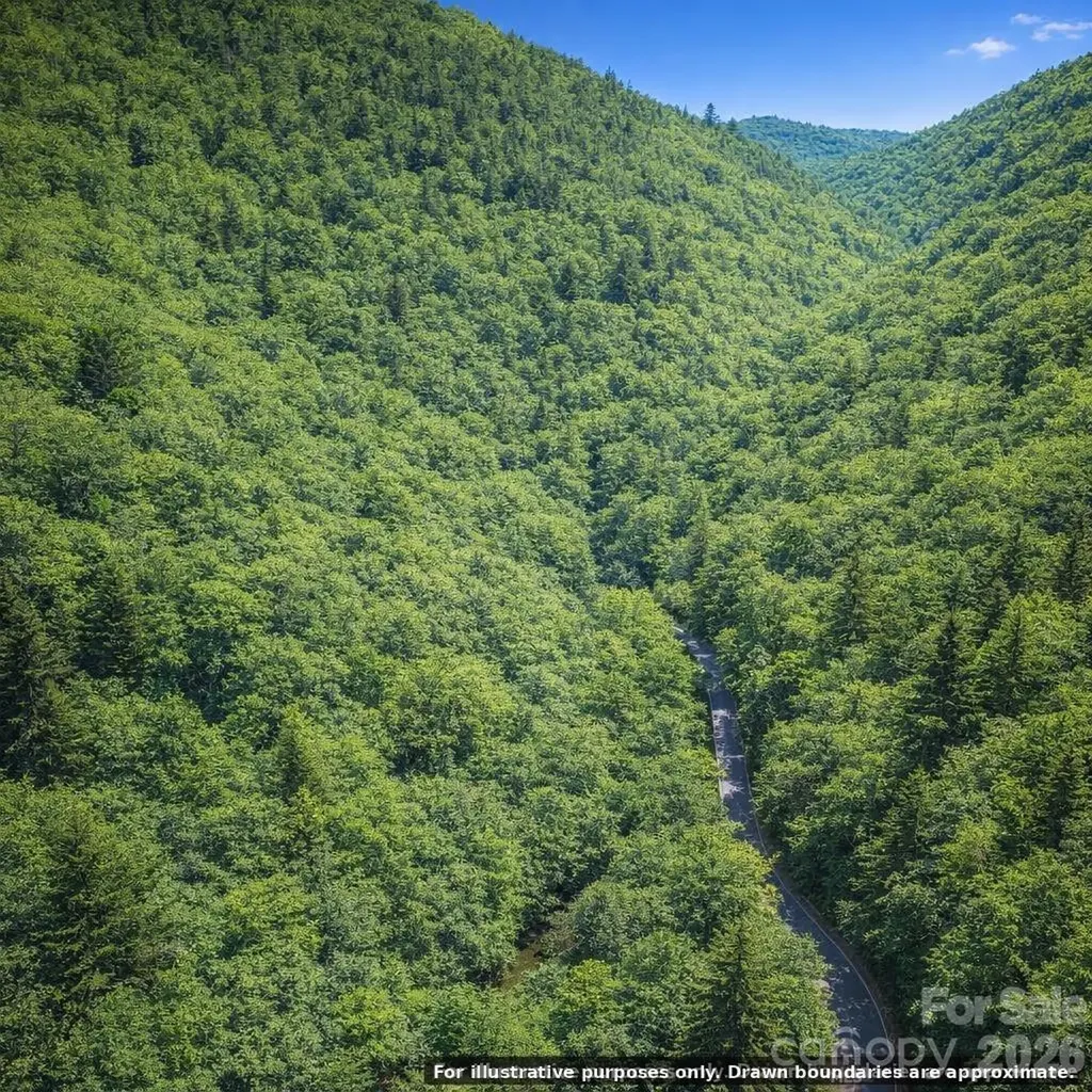 0000 Rainbow Trout Drive Burnsville NC 28714
