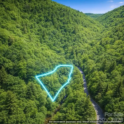 0000 Rainbow Trout Drive Burnsville NC 28714