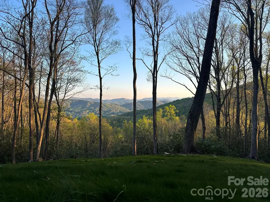 000 Hemlock Grove Trail Fletcher NC 28732