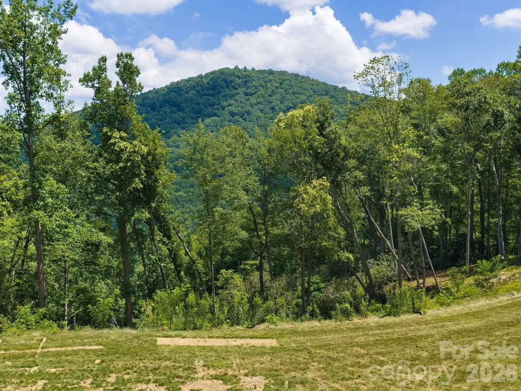 000 Hemlock Grove Trail Fletcher NC 28732