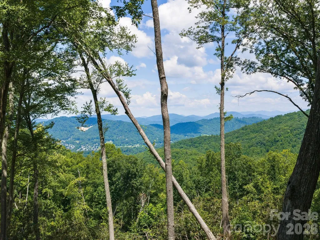 000 Hemlock Grove Trail Fletcher NC 28732