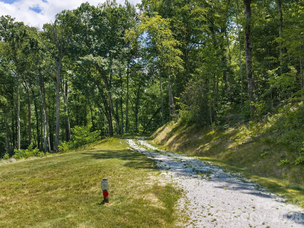 000 Hemlock Grove Trail Fletcher NC 28732