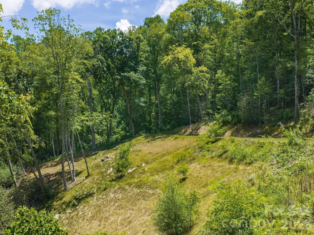000 Hemlock Grove Trail Fletcher NC 28732