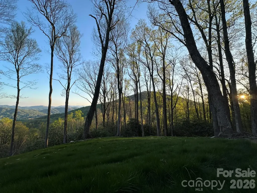 000 Hemlock Grove Trail Fletcher NC 28732