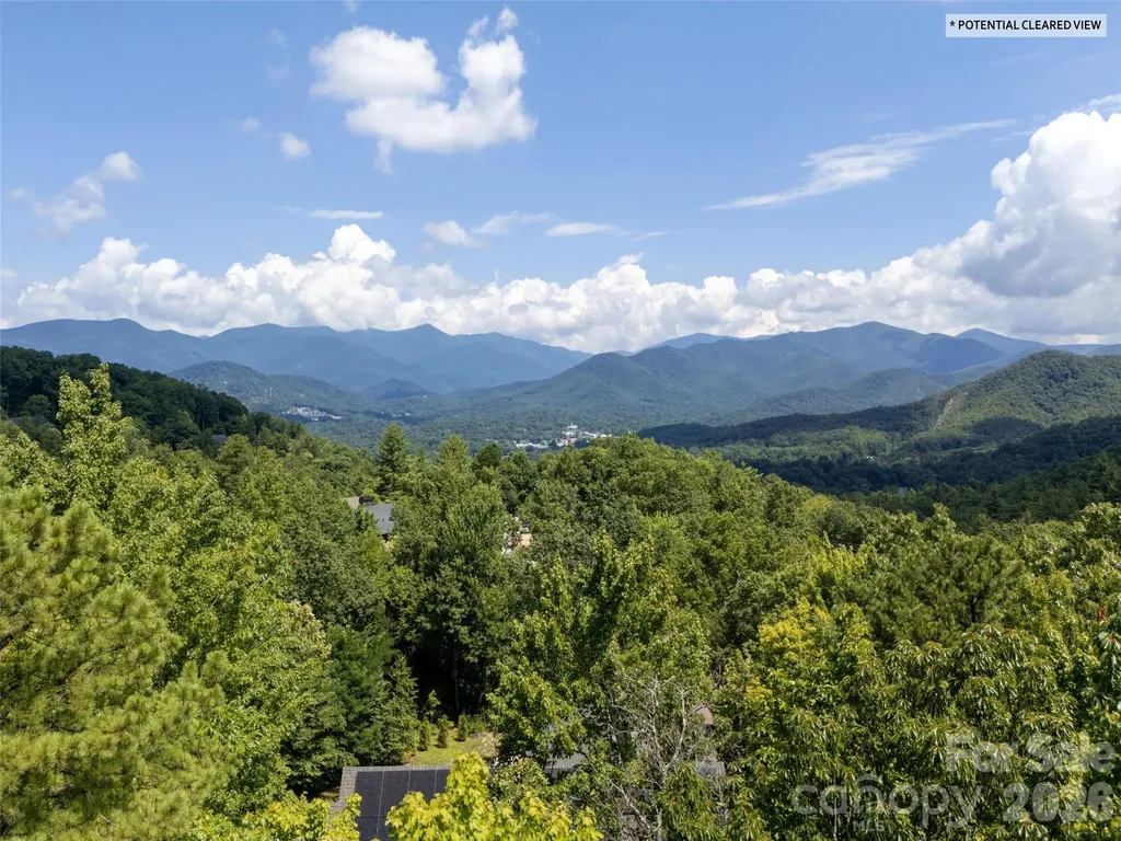 21 Sisters View Drive Black Mountain NC 28711