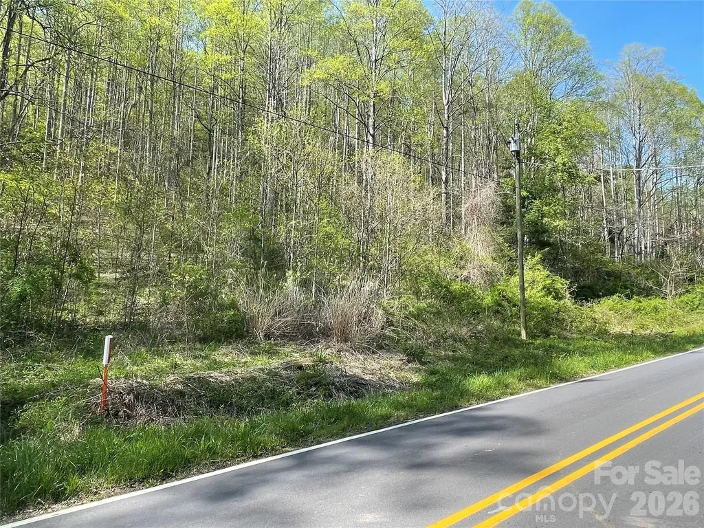 99999 Martins Creek Road Barnardsville NC 28709
