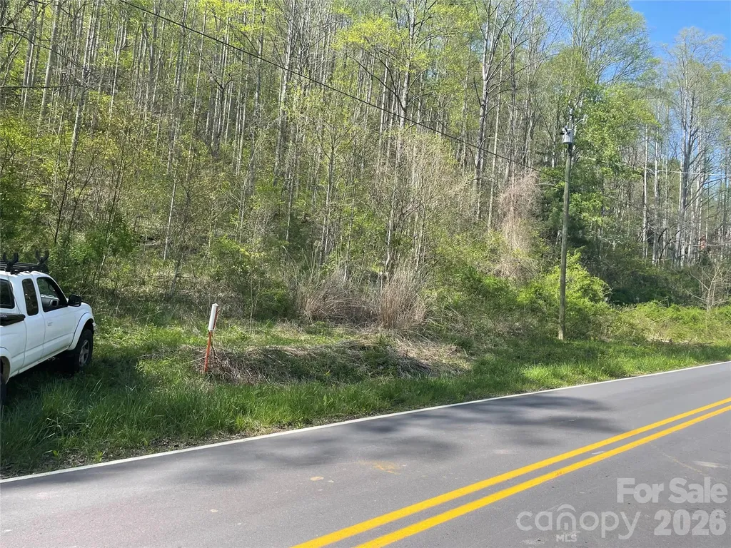 99999 Martins Creek Road Barnardsville NC 28709