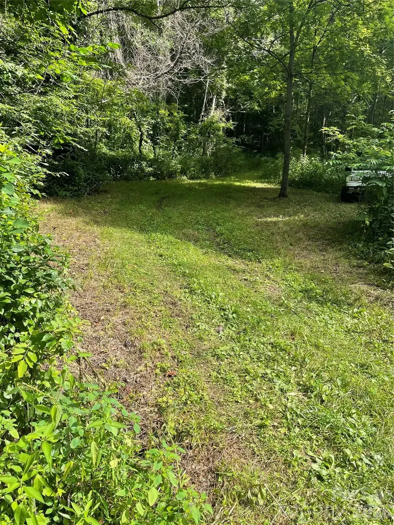 99999 Martins Creek Road Barnardsville NC 28709