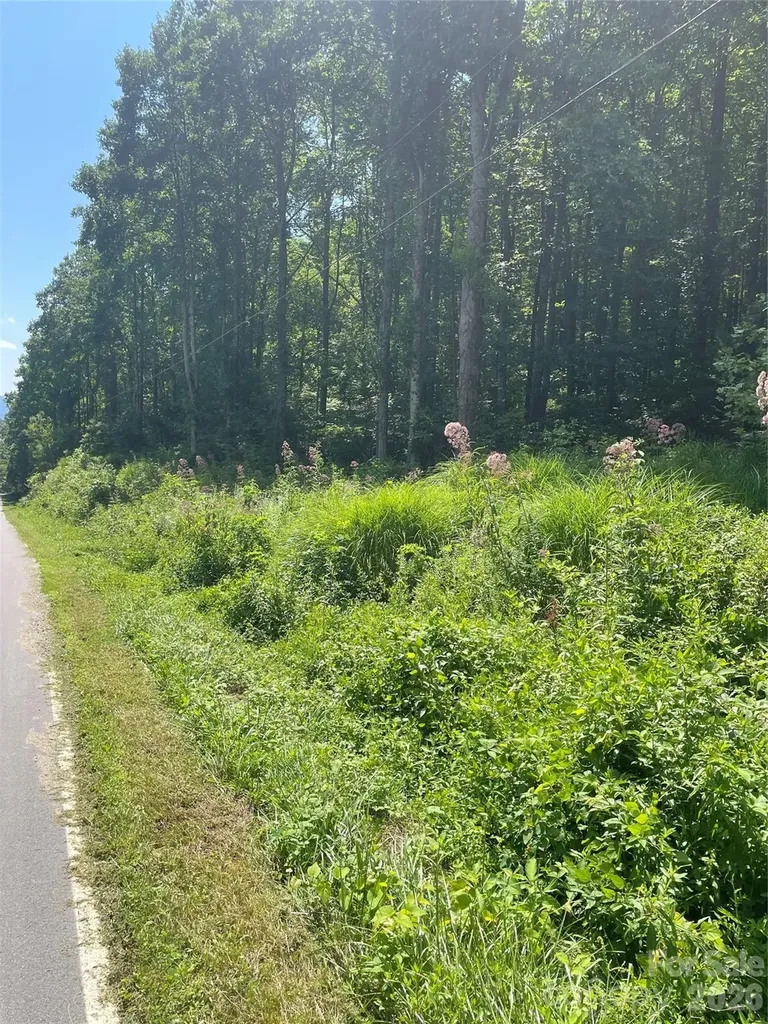 99999 Martins Creek Road Barnardsville NC 28709
