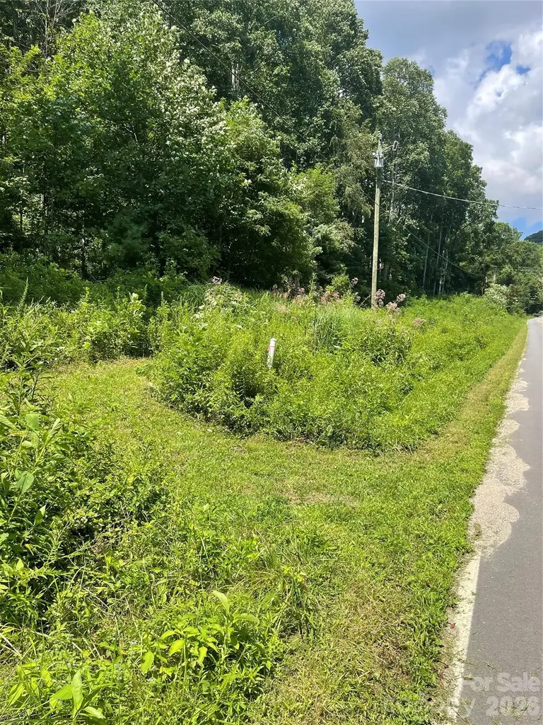 99999 Martins Creek Road Barnardsville NC 28709