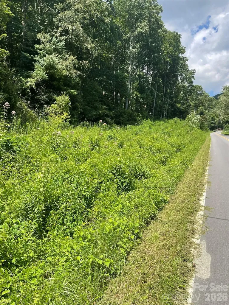 99999 Martins Creek Road Barnardsville NC 28709