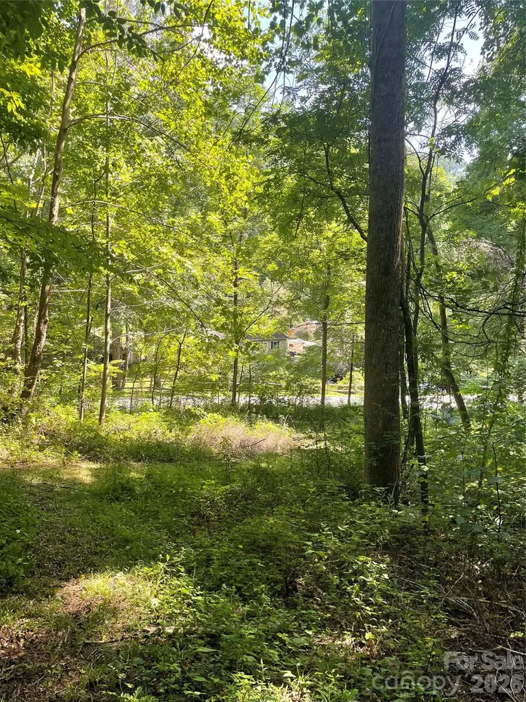 99999 Martins Creek Road Barnardsville NC 28709