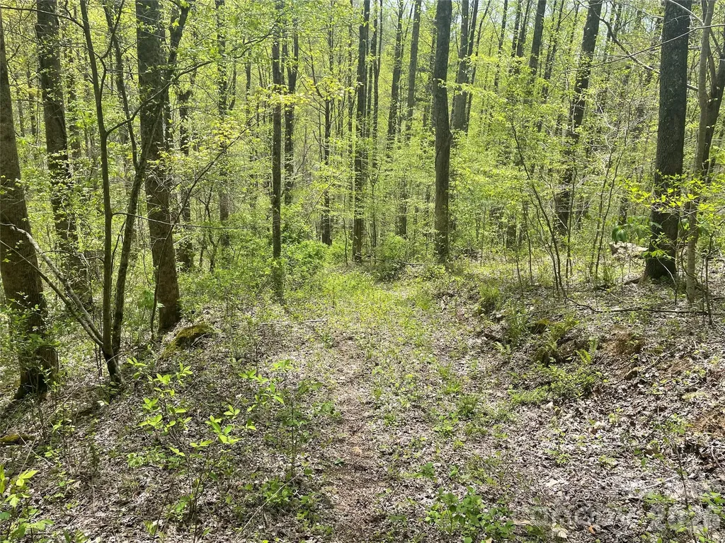 99999 Martins Creek Road Barnardsville NC 28709