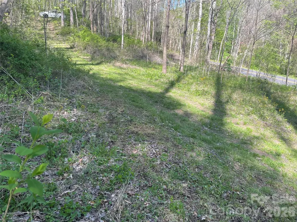 99999 Martins Creek Road Barnardsville NC 28709