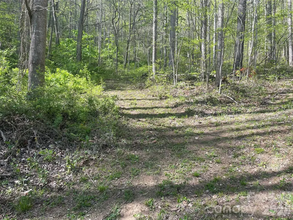 99999 Martins Creek Road Barnardsville NC 28709