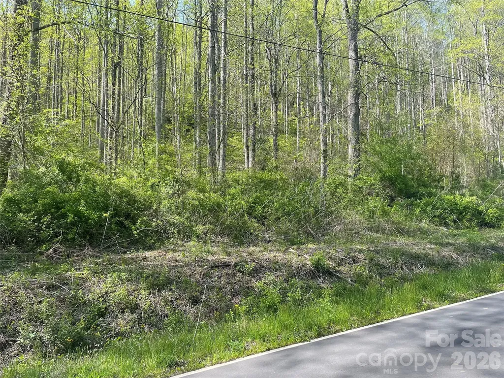 99999 Martins Creek Road Barnardsville NC 28709