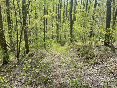 99999 Martins Creek Road Barnardsville NC 28709