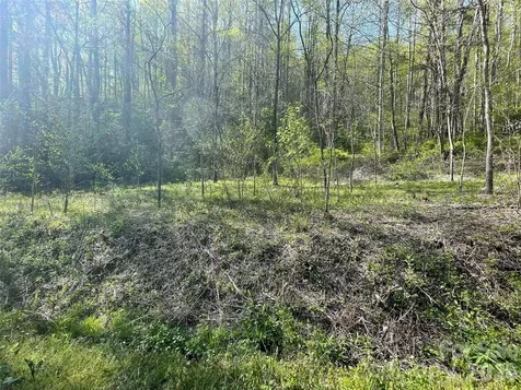 99999 Martins Creek Road Barnardsville NC 28709