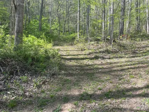 99999 Martins Creek Road Barnardsville NC 28709
